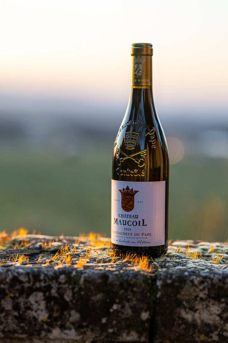 PRIMEUR 2026 - Châteauneuf-du-Pape Tradition Blanc MAGNUM, Vendu Hors taxes